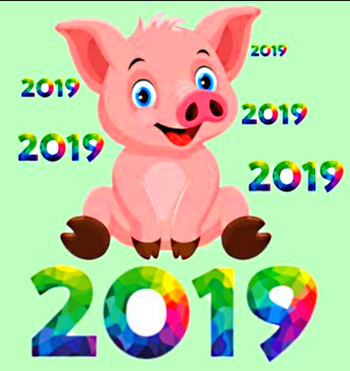 2019己亥是什么猪？