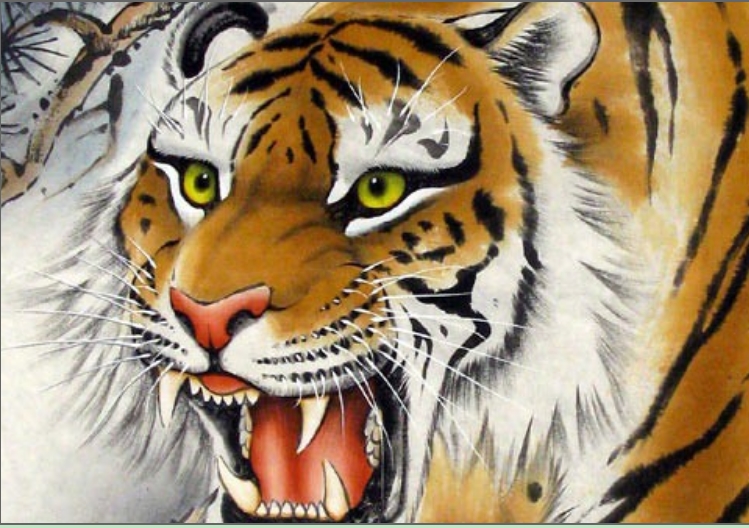 《易经风采实战》案例2：老虎下山