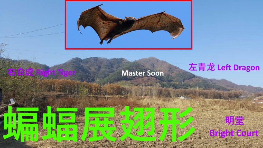 蝙蝠展翅形龙穴生基