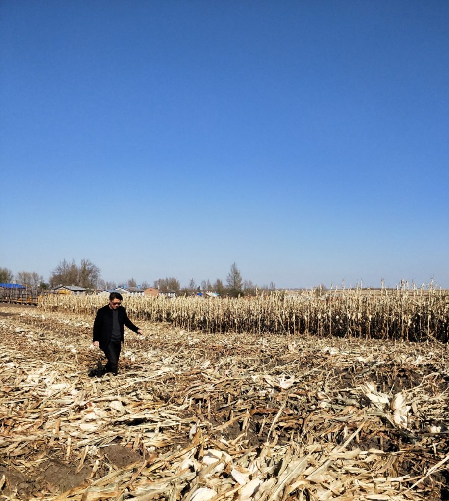 2020 : Changes After Coronavirus