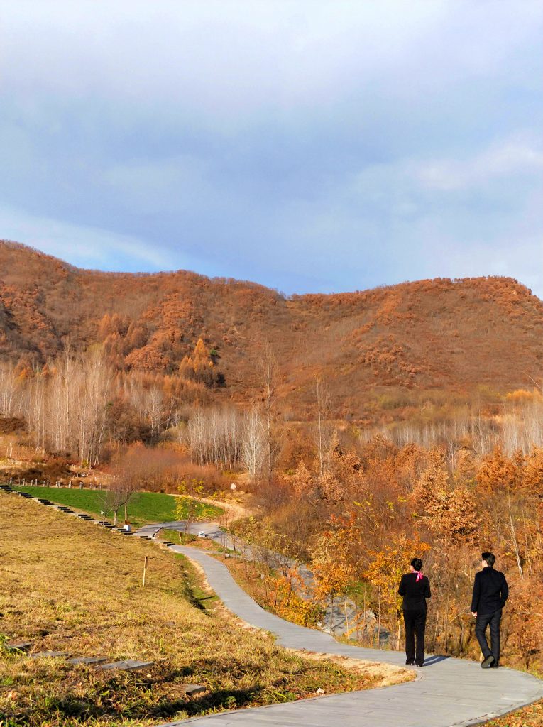 跟当代世界霸主顽强斗争了705年的龙脉群之启发