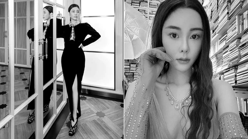 浅淡《蔡天凤》名字1