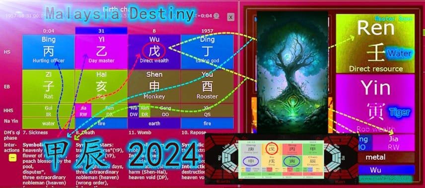 大馬八字：2024千年樹妖