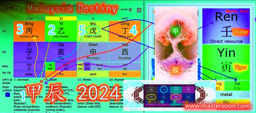 大马八字：2024上了千年树妖甲木劫财大盗之船