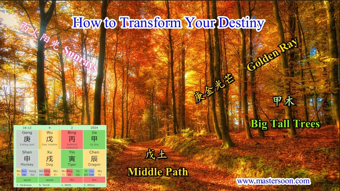 How to Transform Your Destiny By Practical Steps